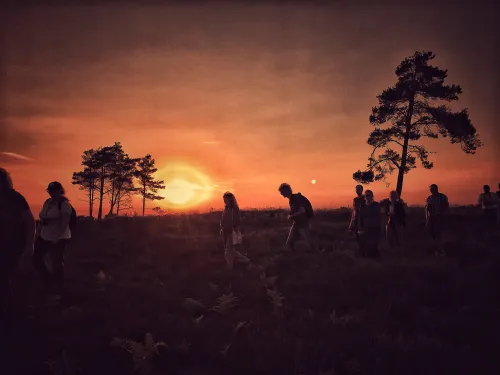 Slepe Heath