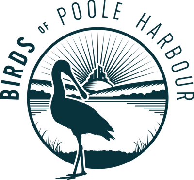 Birds of Poole Harbour logo