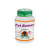 Willow Fat Burner 60 capsules