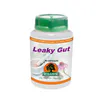 Willow Leaky Gut 90 Capsules