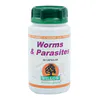 Willow Worms Parasites 60 Capsules
