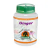 Willow Ginger 500mg 50 Capsules