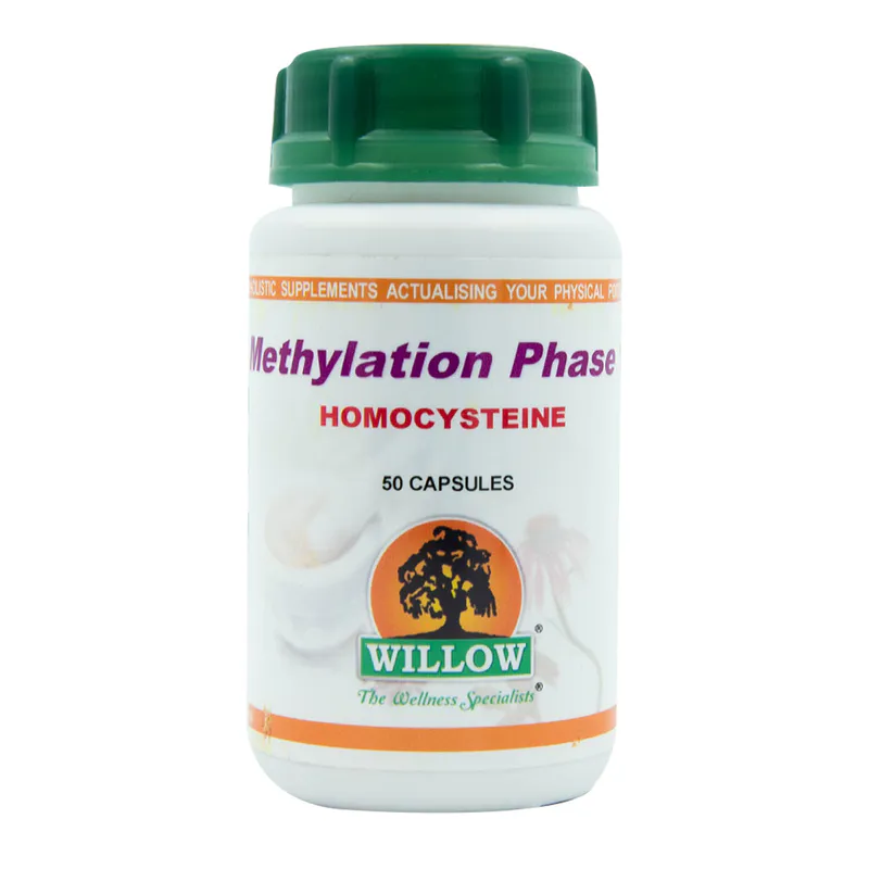 Willow Methylation Phase 1 Homocysteine 50 Capsules