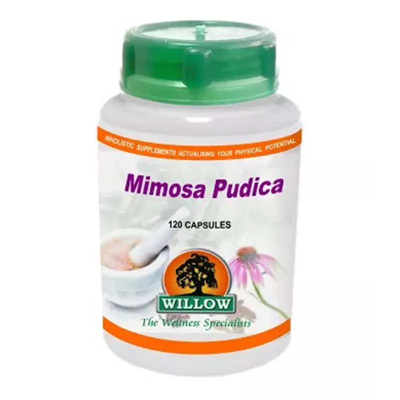 Willow Mimosa Pudica 500mg 120 Caps