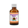 Willow Dandelion Herb 100ml Tincture
