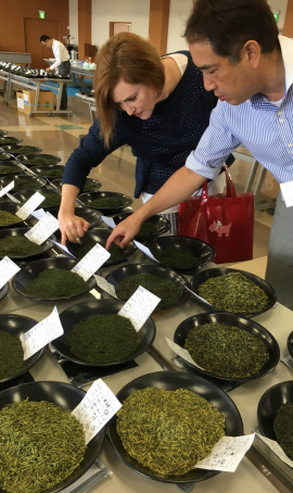 holly hunting for new teas at a tea auction in kyushu