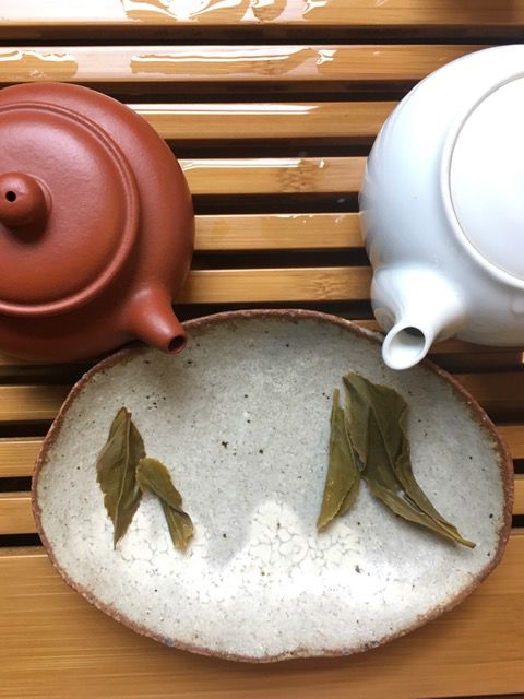 Comparing the leaves of two wild tamaryokucha teas from Shizuoka.