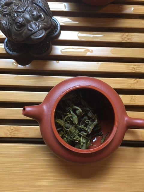 wild tamaryokucha from Shizuoka steeped in a yixing clay pot gong fu style