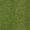 Readylawn Golf