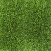Readylawn IG A30