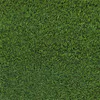 Readylawn IG B30