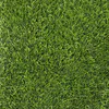 Readylawn IG S35