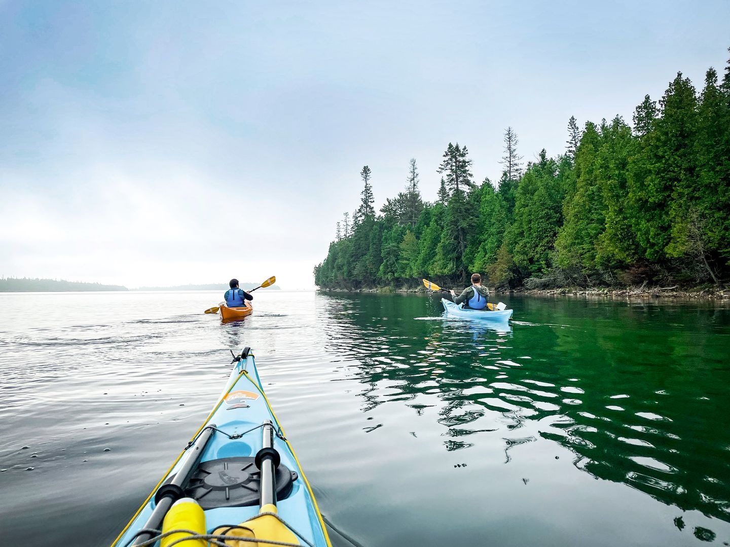 A bright blue kayak in the foreground is trailing two other kayaks on a calm and slightly foggy morning as they paddle along the cedar-lined shore of Government Island in Lake Huron's Les Cheneaux Islands while on a Bigger Dipper kayak tour.