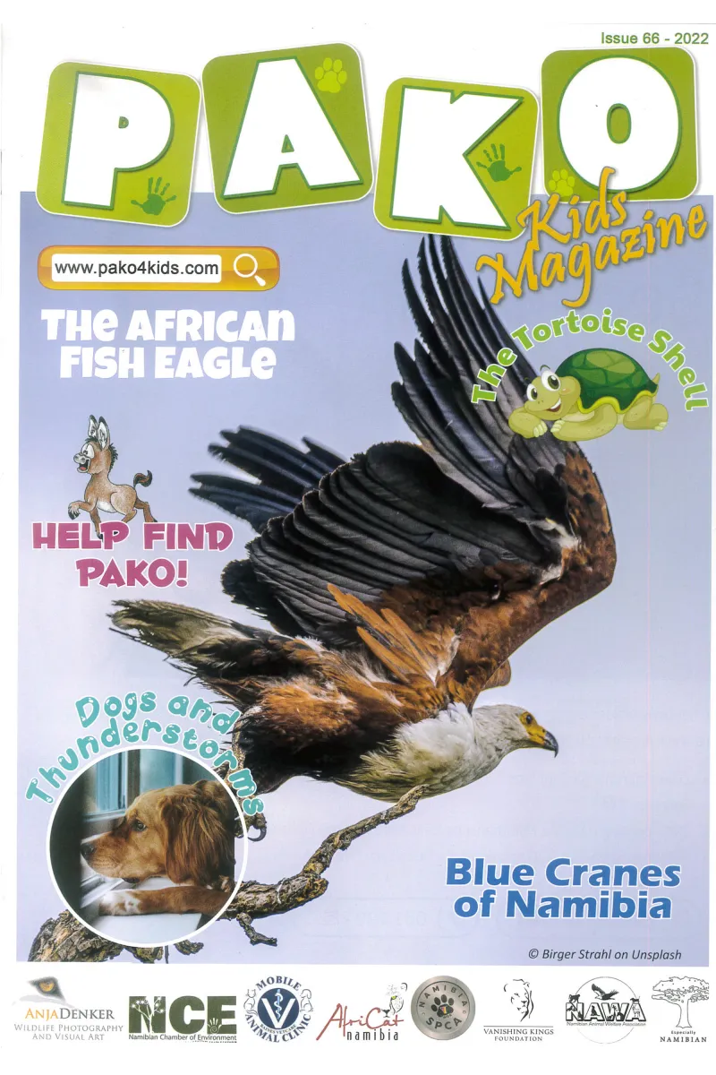 Pako Issue 66 – 2022 Front