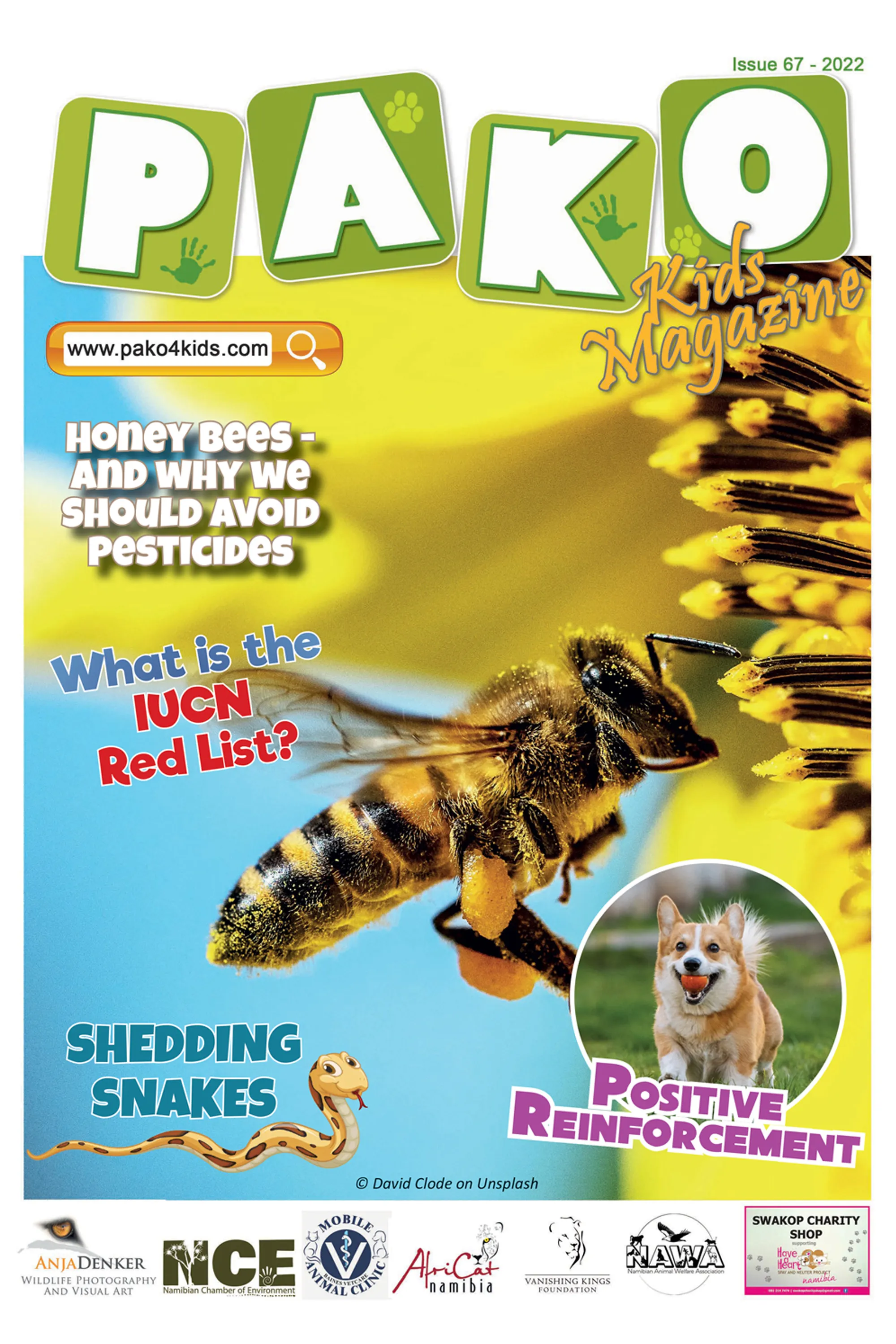 Pako Issue 67 - 2022 Front