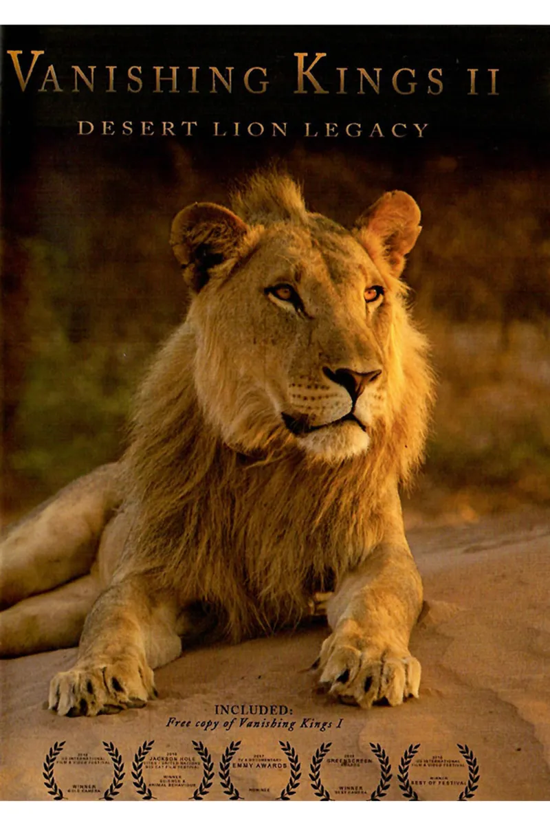 Vanishing Kings II Front