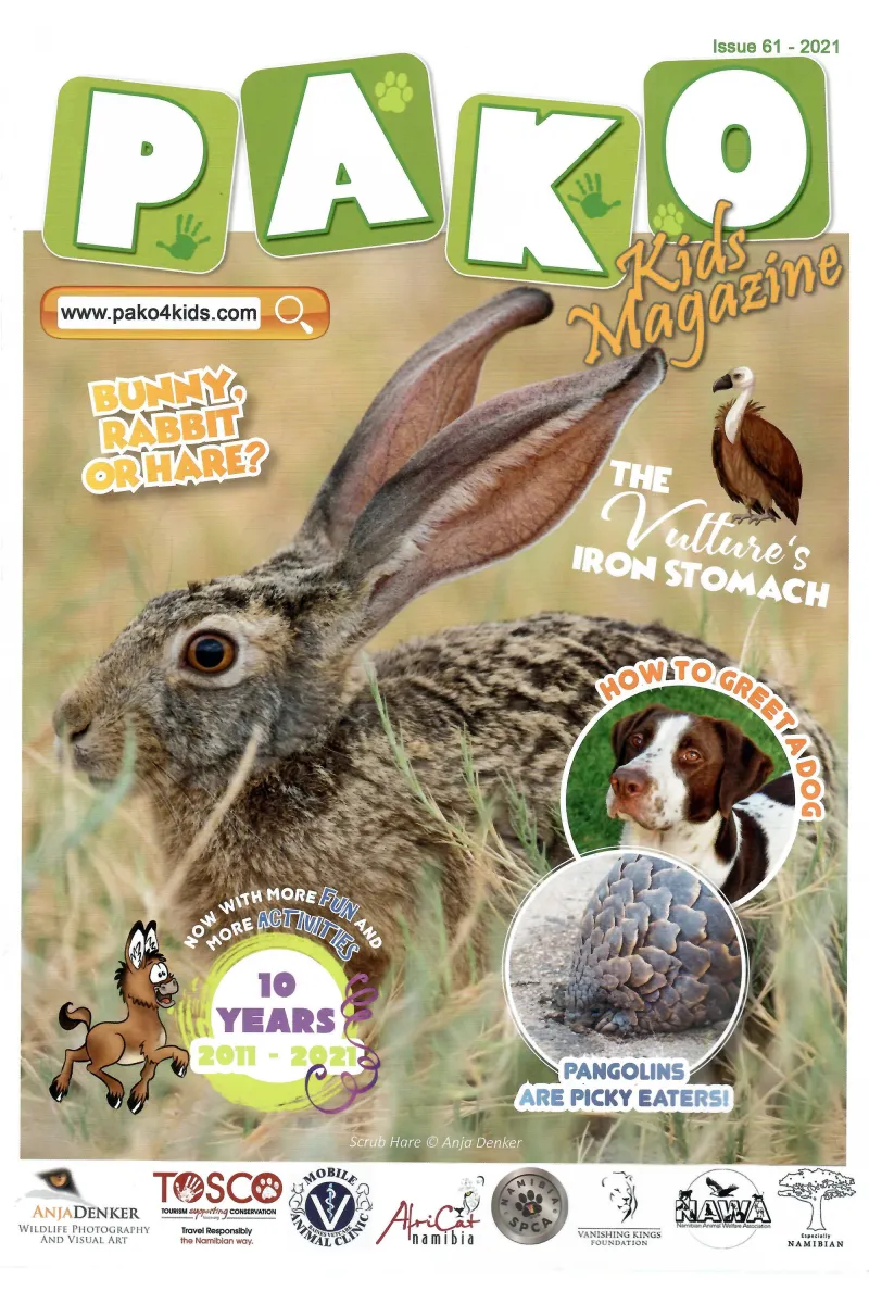 Pako Issue 61 – 2021 Front