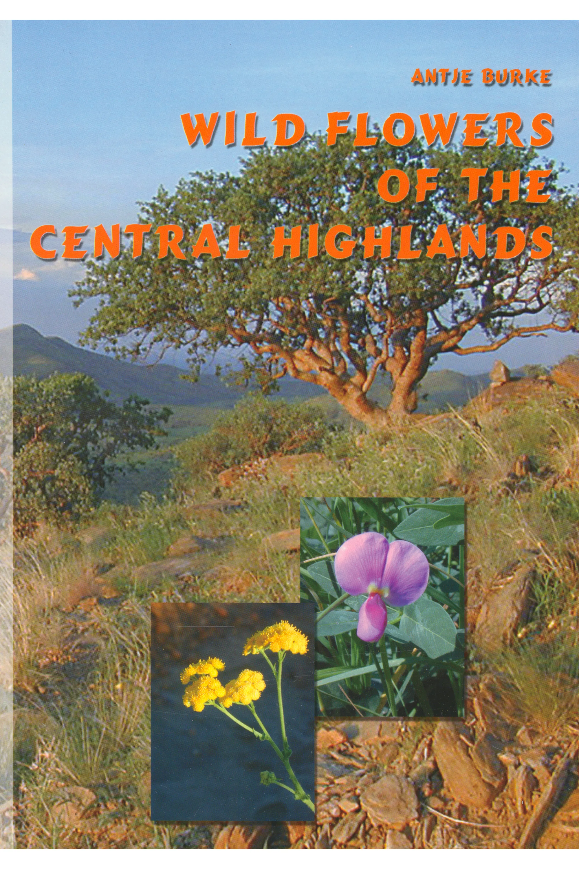 Wild Flowers of the Central Highlands Front
