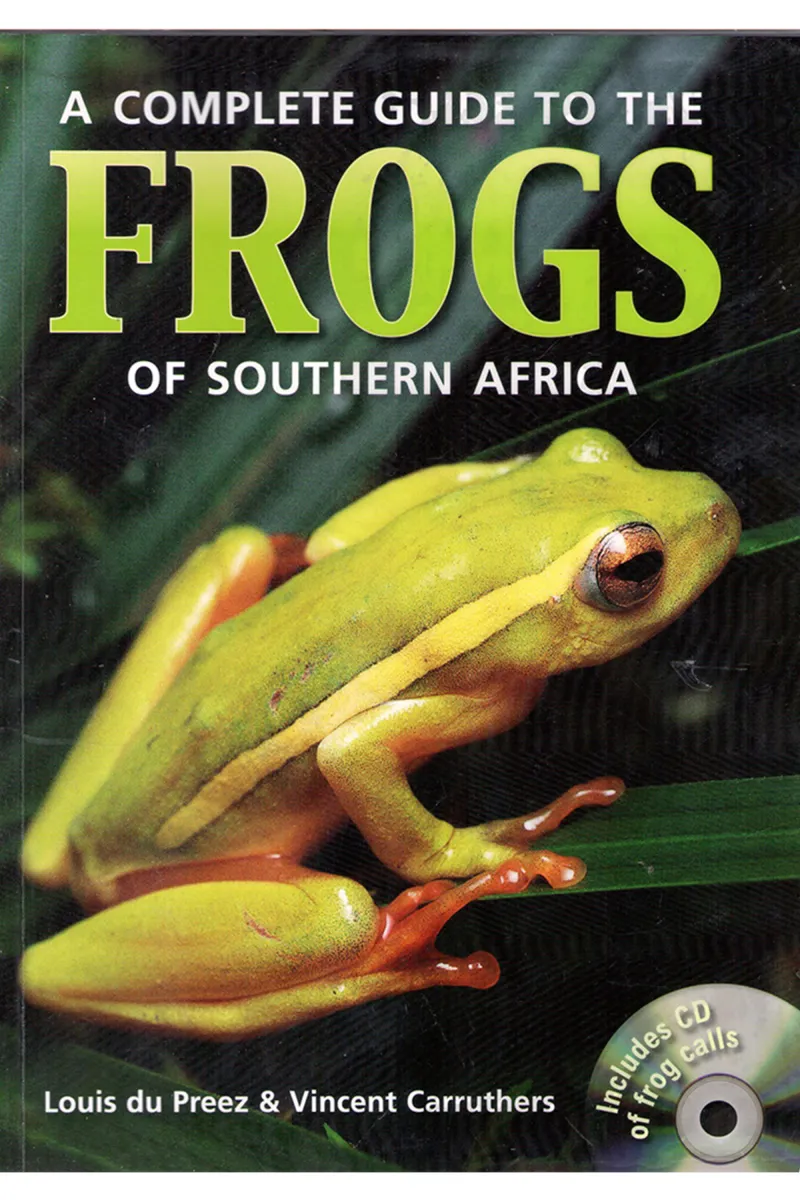Frogs Front