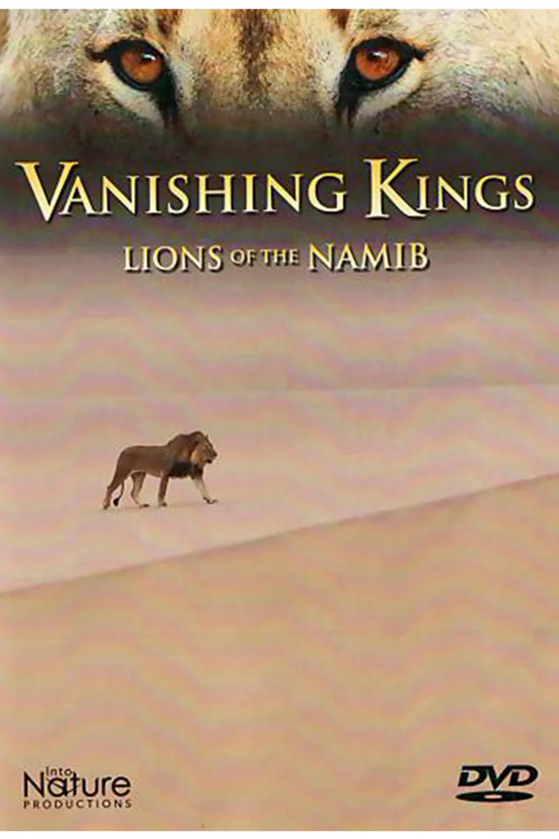 Vanishing Kings Front