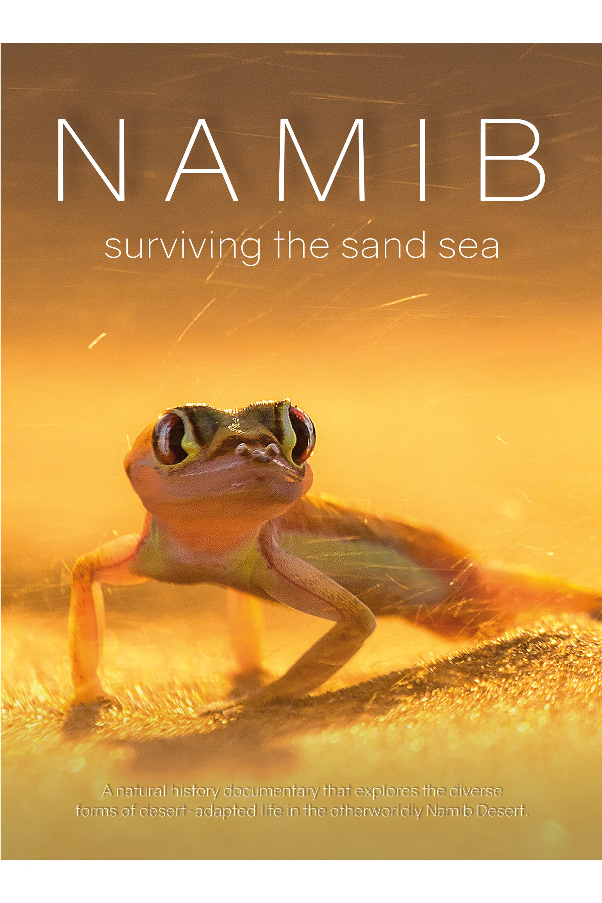Namib Front