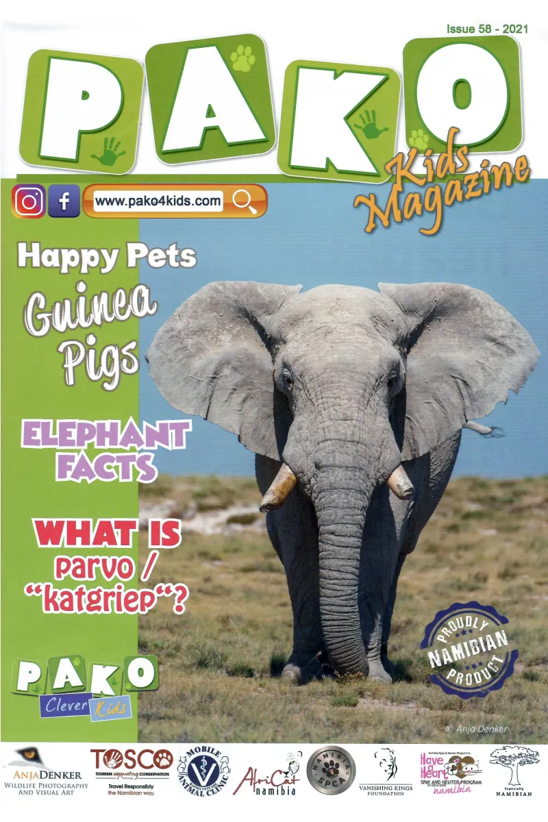 Pako Issue 58 – 2021 Front