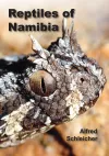 Reptiles of Namibia
