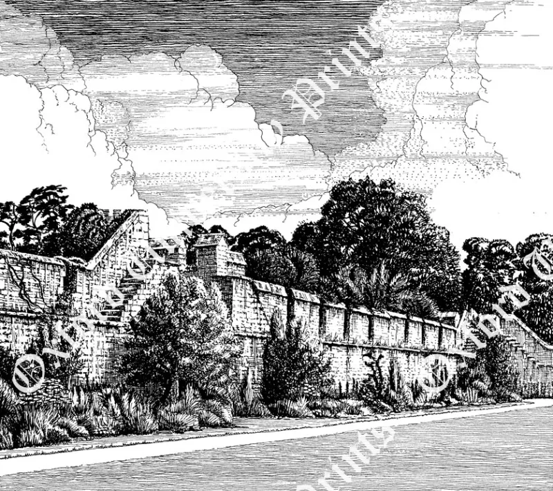New College (City Wall & Gardens)