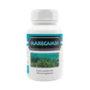PhytoHealth Marecamin Organic Seagrass Calcium and Minerals 60 Capsules