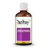 Herbay Cholesterol 100ml