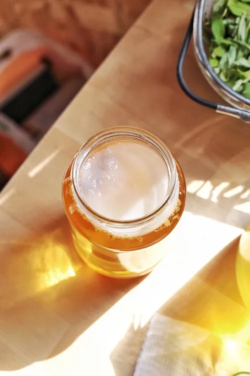 Jar of Kombucha 2