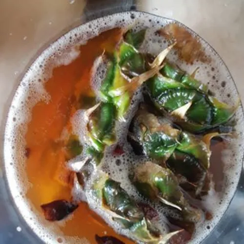 tepache