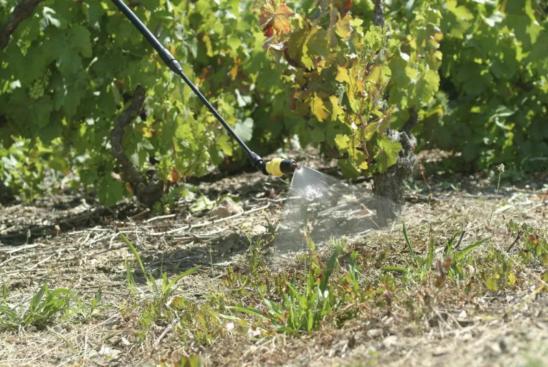 Berthoud 200806 in use